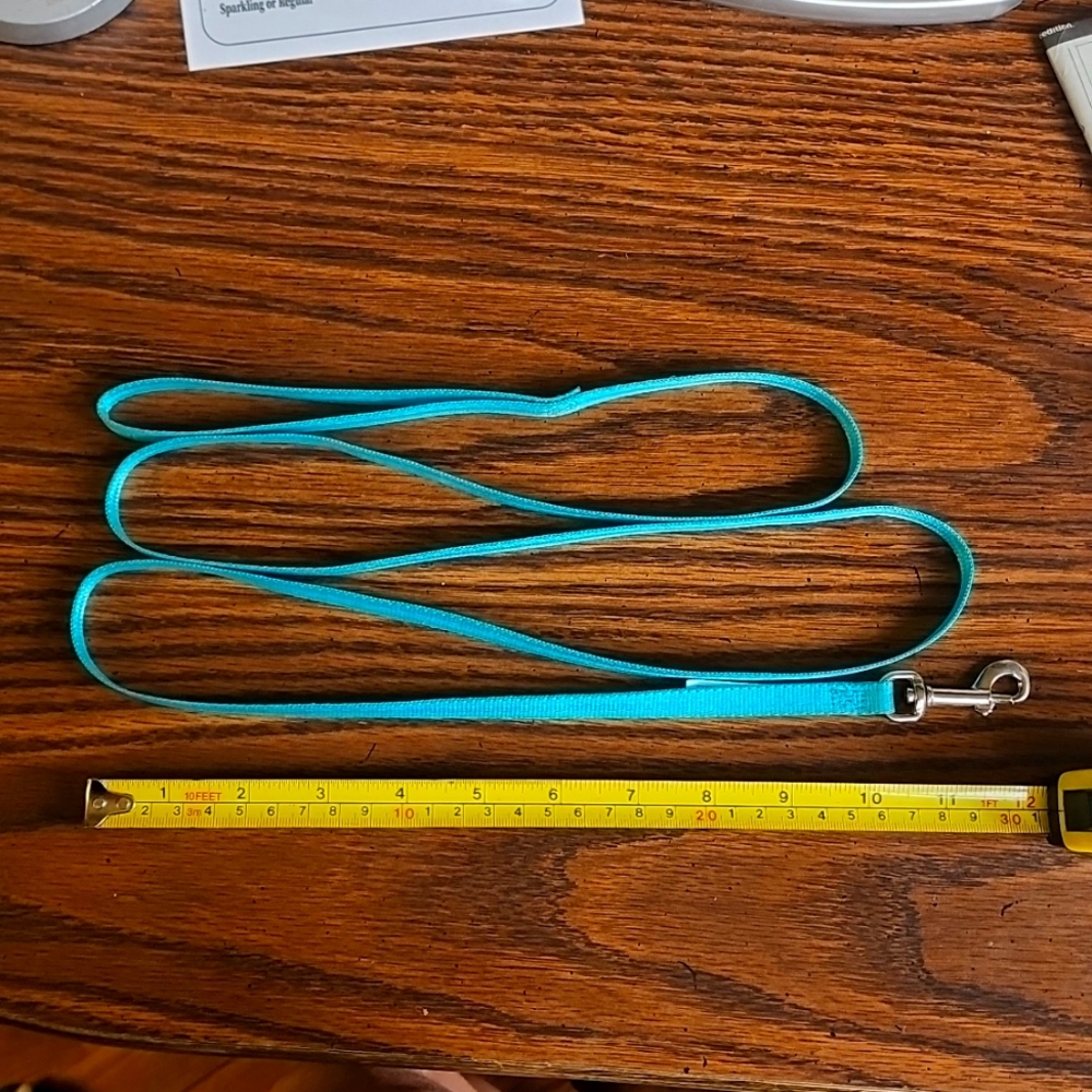 Cat Leash (or very small dog)